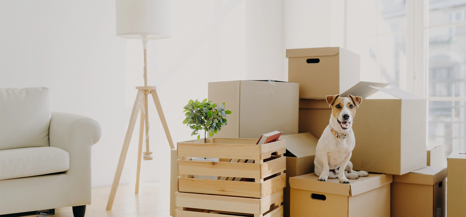 Wards of Kent-Buy a new home